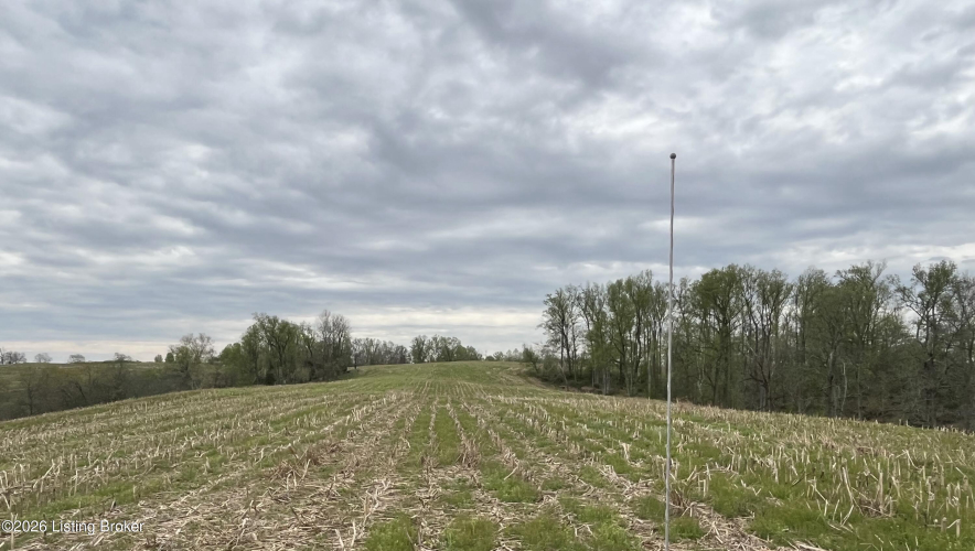 Listing Image 37