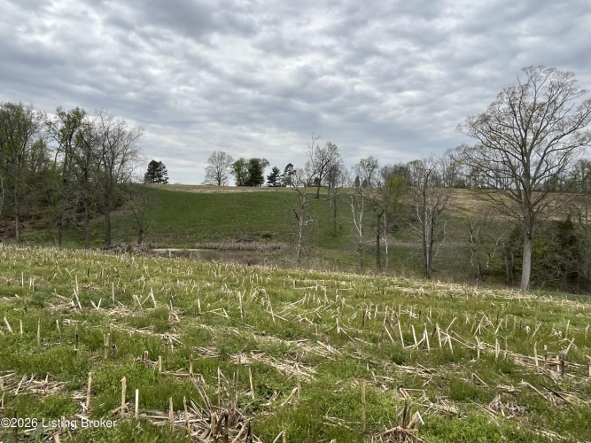 Listing Image 38