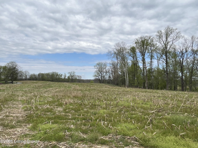 Listing Image 42