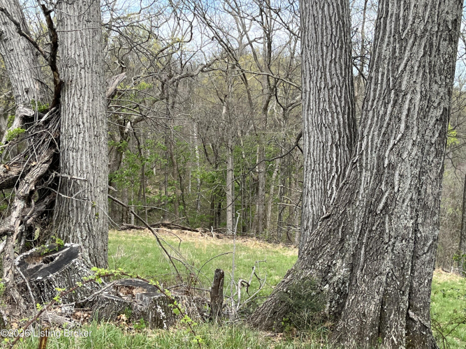 Listing Image 44