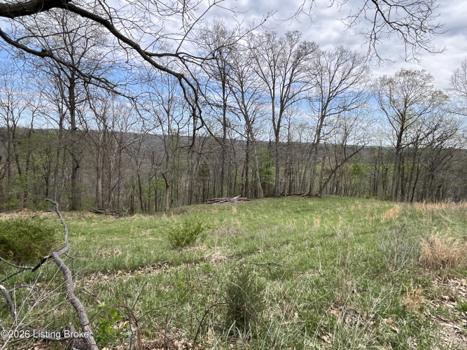 Listing Image 45