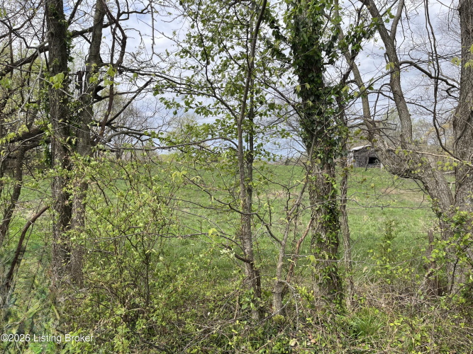 Listing Image 46