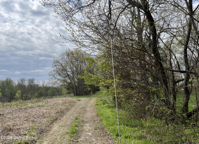 Listing Image 47
