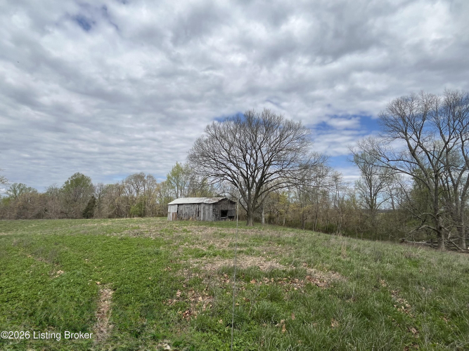 Listing Image 49