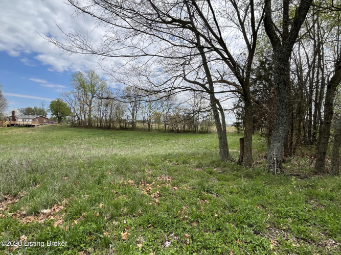 Listing Image 50
