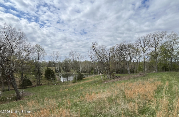 Listing Image 51