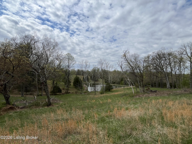 Listing Image 52