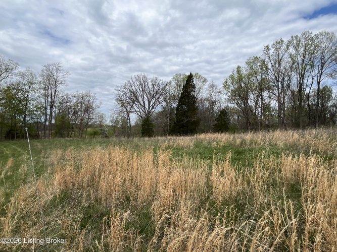 Listing Image 53