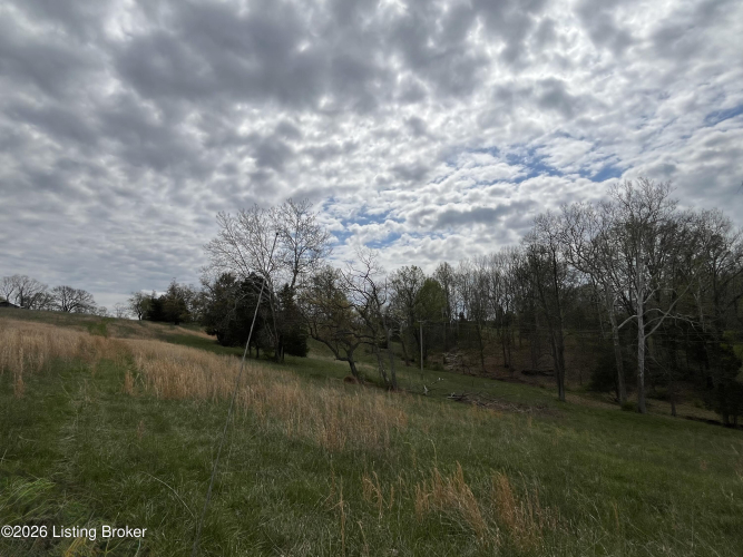 Listing Image 55