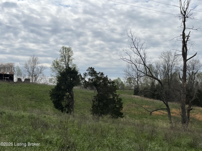 Listing Image 58