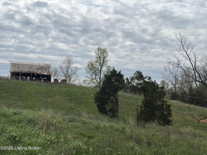 Listing Image 59