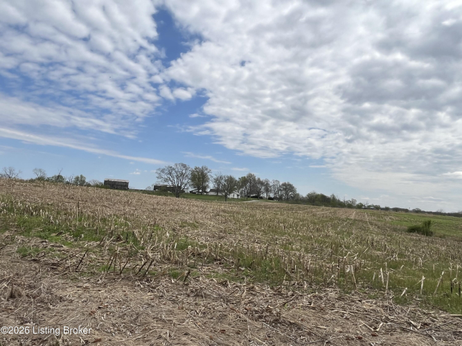 Listing Image 61