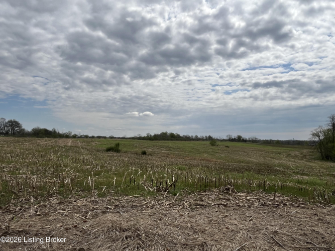 Listing Image 62
