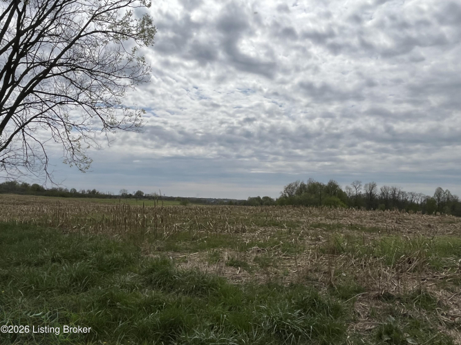Listing Image 64