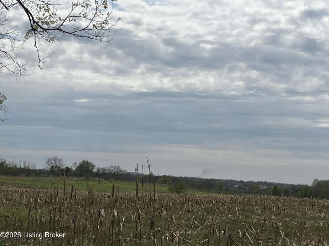 Listing Image 65