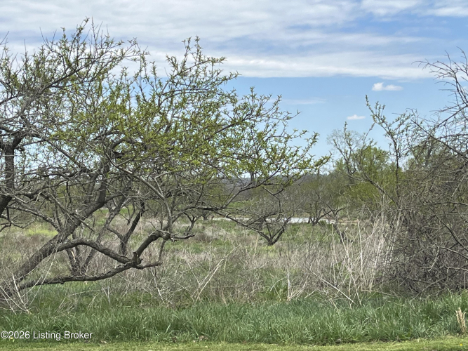 Listing Image 66