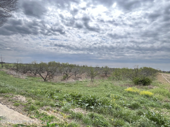Listing Image 67