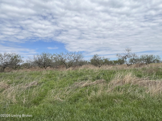 Listing Image 68
