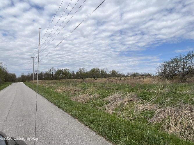 Listing Image 69