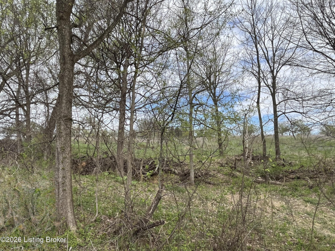 Listing Image 70