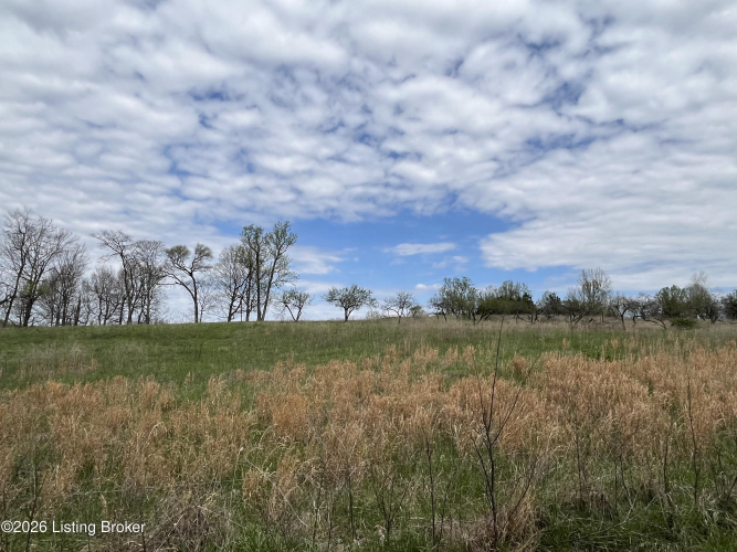 Listing Image 71