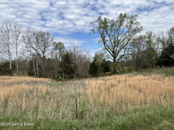Listing Image 72