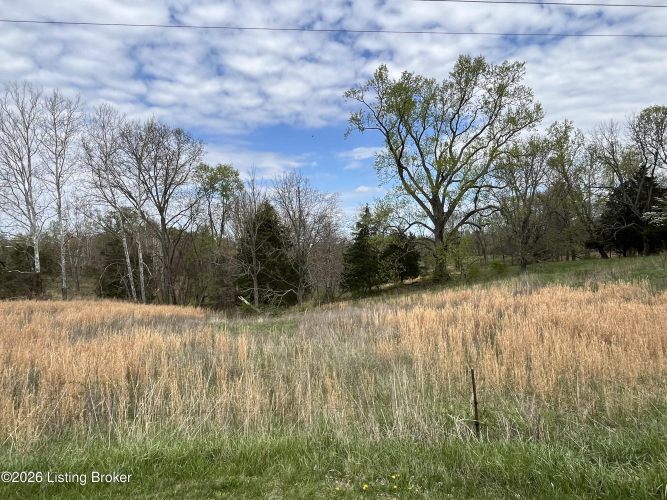 Listing Image 73