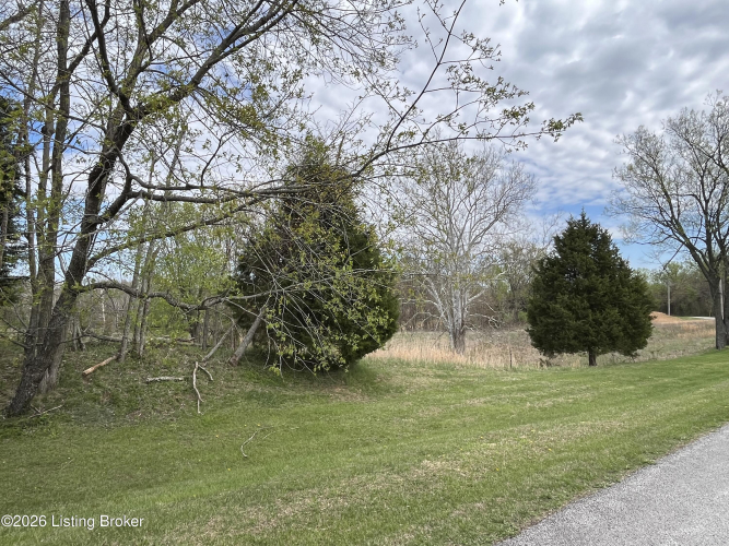 Listing Image 75