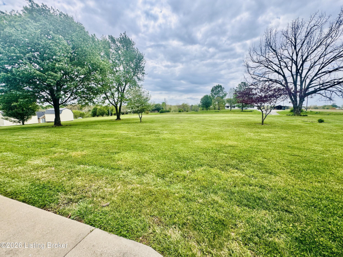 Listing Image 35