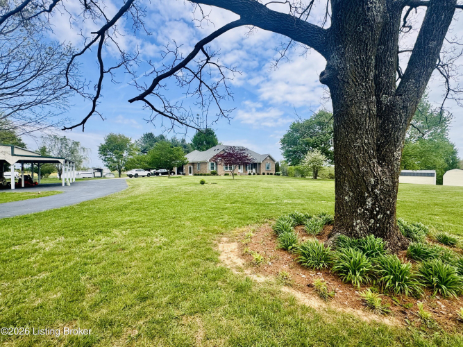 Listing Image 39