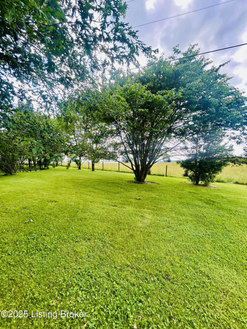 Listing Image 18