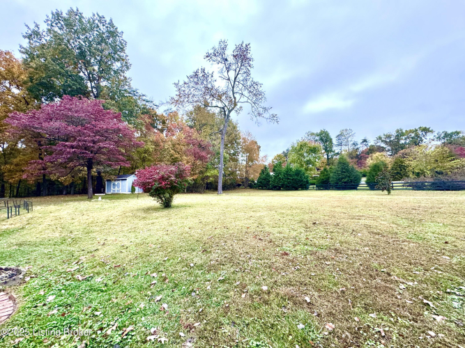 Listing Image 88
