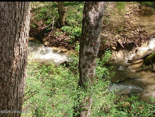 Listing Image 53