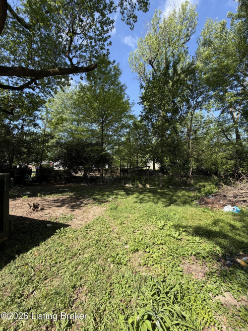 Listing Image 9