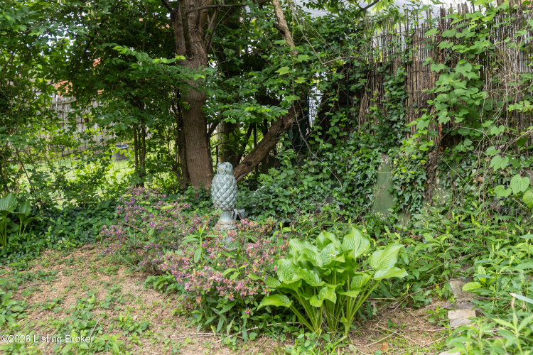 Listing Image 44