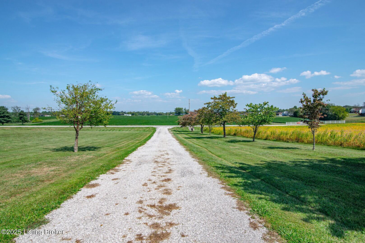 Listing Image 115