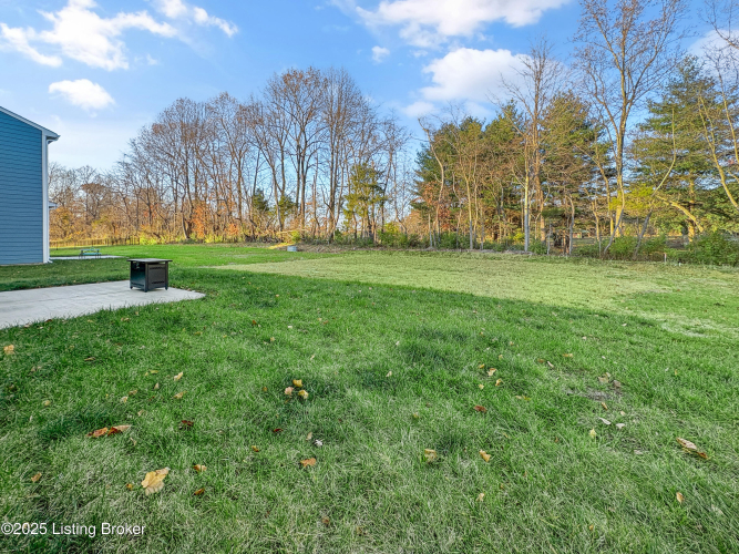 Listing Image 60
