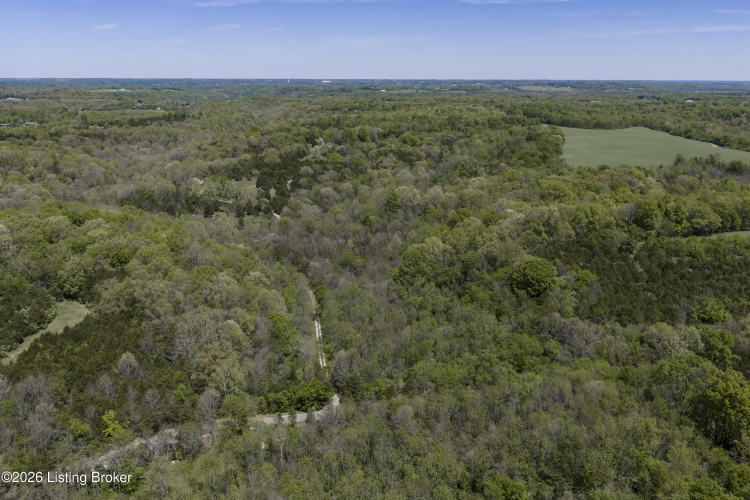 Listing Image 63