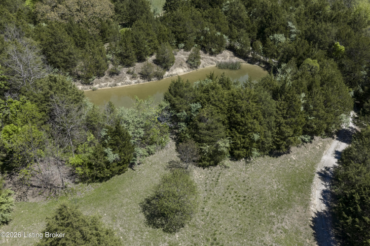 Listing Image 66