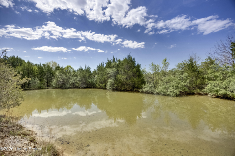 Listing Image 67