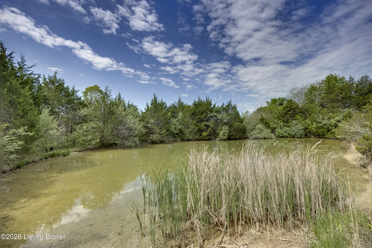 Listing Image 68