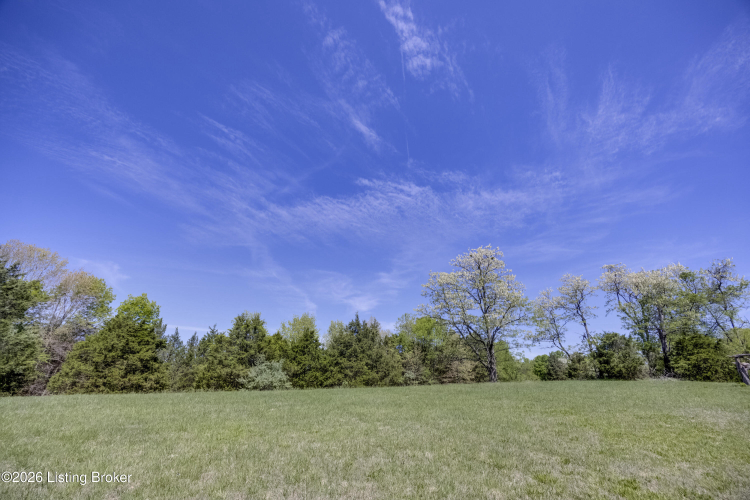 Listing Image 69