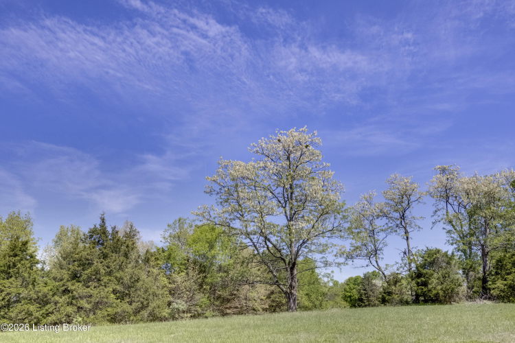 Listing Image 70