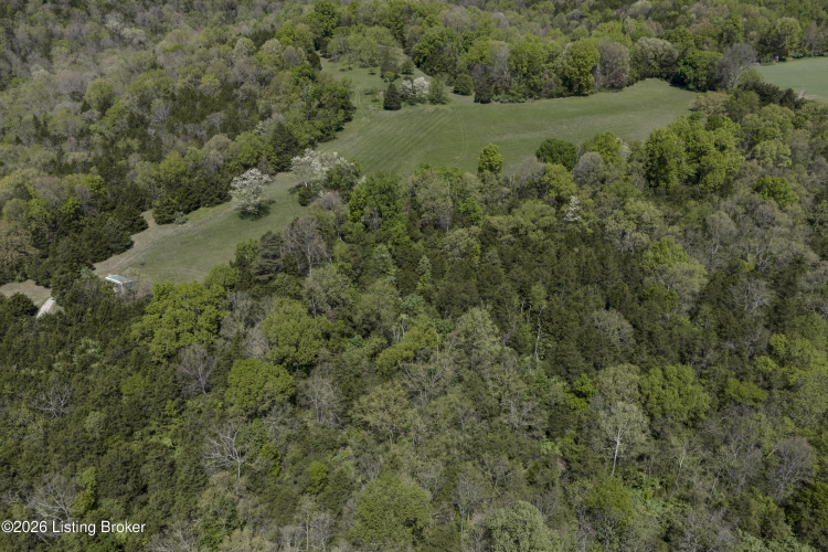 Listing Image 81