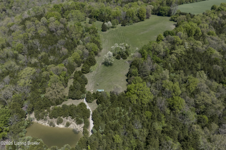 Listing Image 82