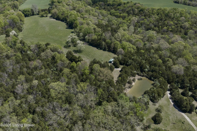 Listing Image 84