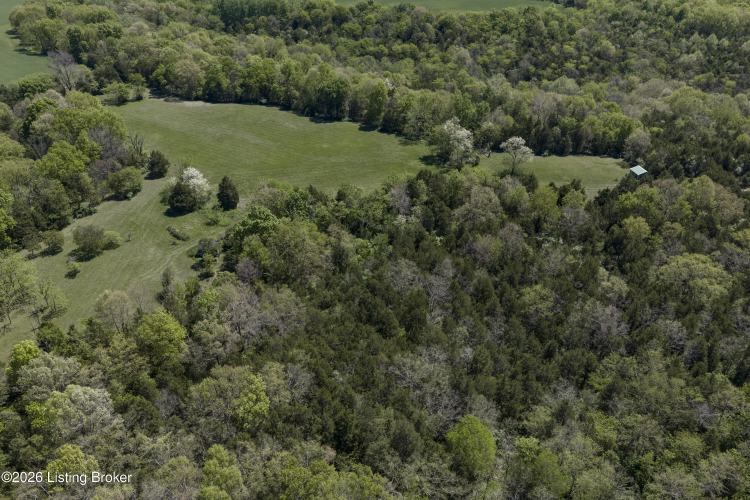 Listing Image 85