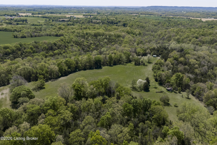 Listing Image 87
