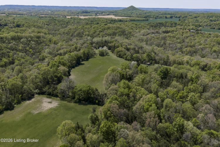 Listing Image 88