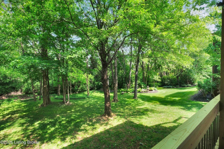 Listing Image 64